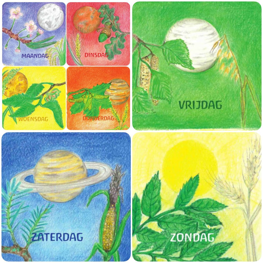 Eentjevanmargo - Dagkaartenset