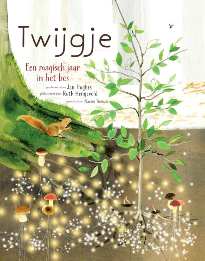 Samsara - Twijgje - Een magisch jaar in het bos