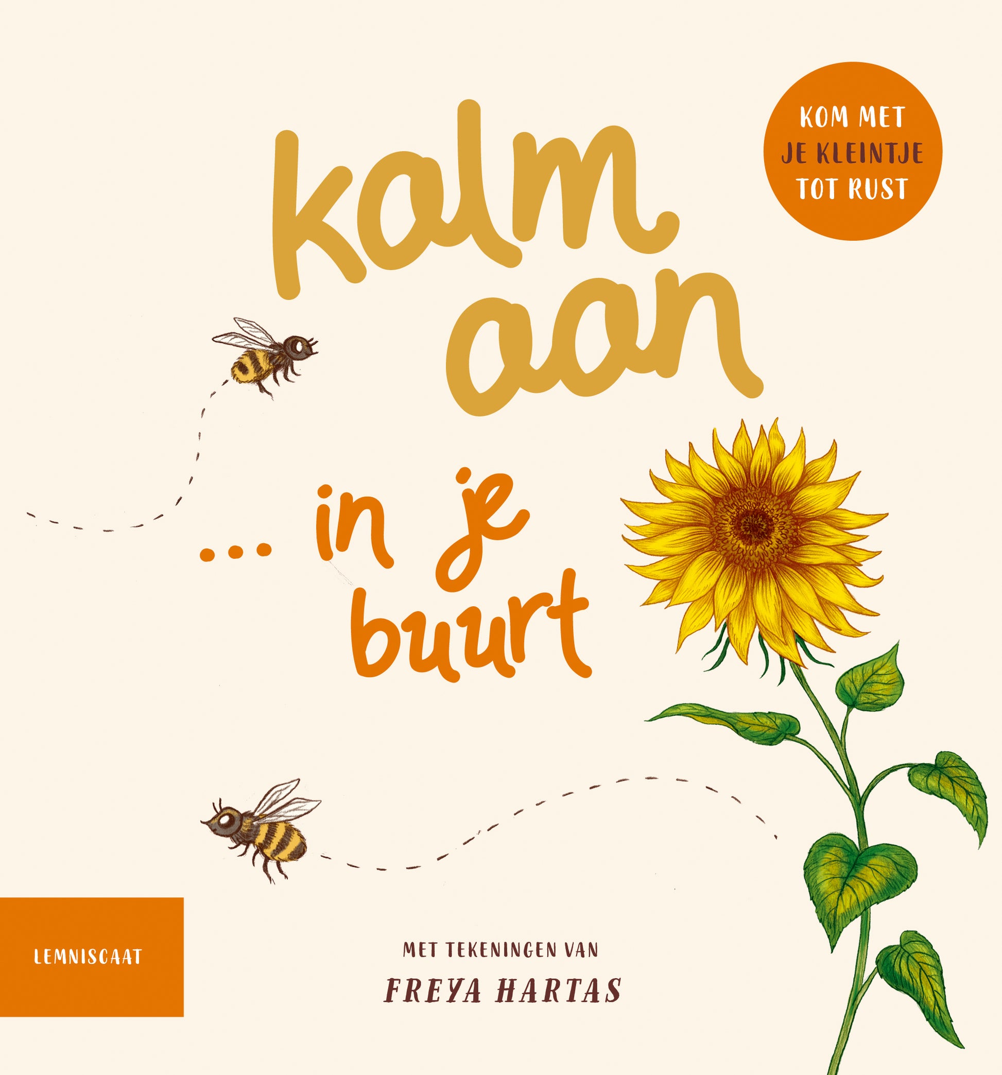 Lemniscaat - Kalm aan... in je buurt