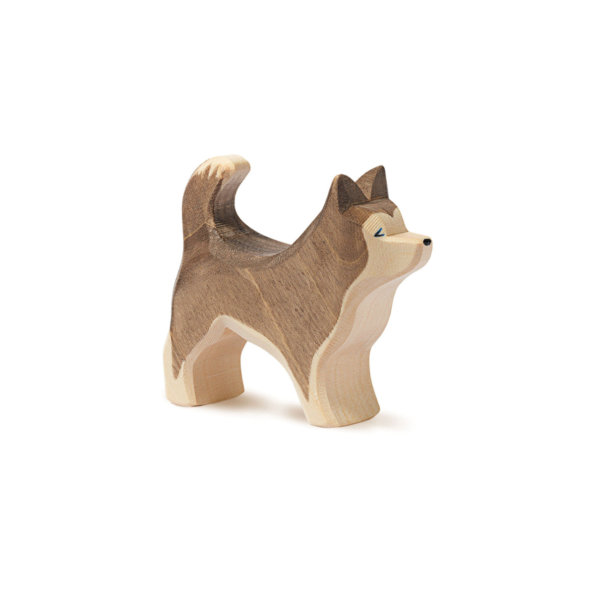 Ostheimer - husky