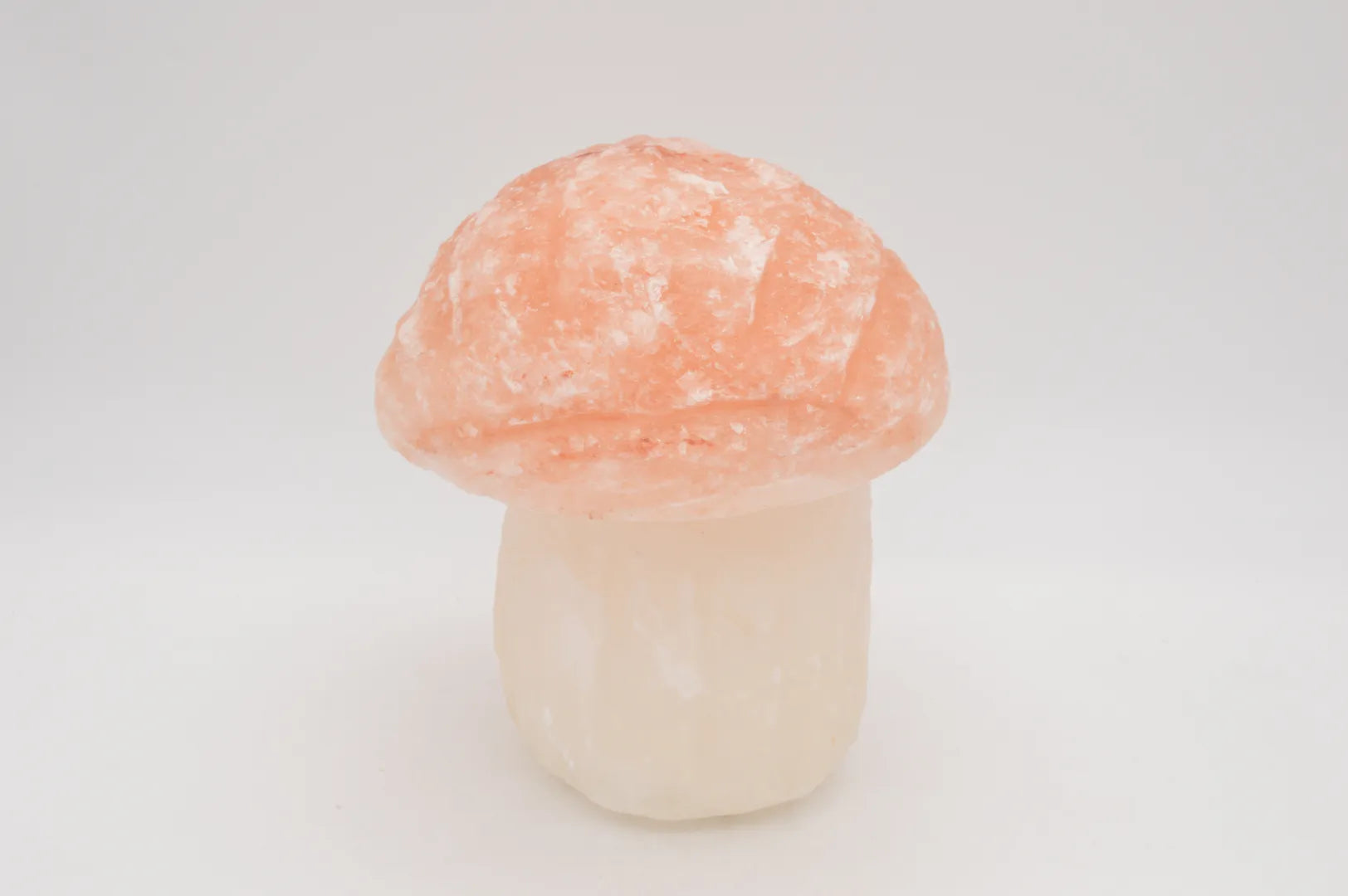 Himalaya Zoutlamp - Paddenstoel